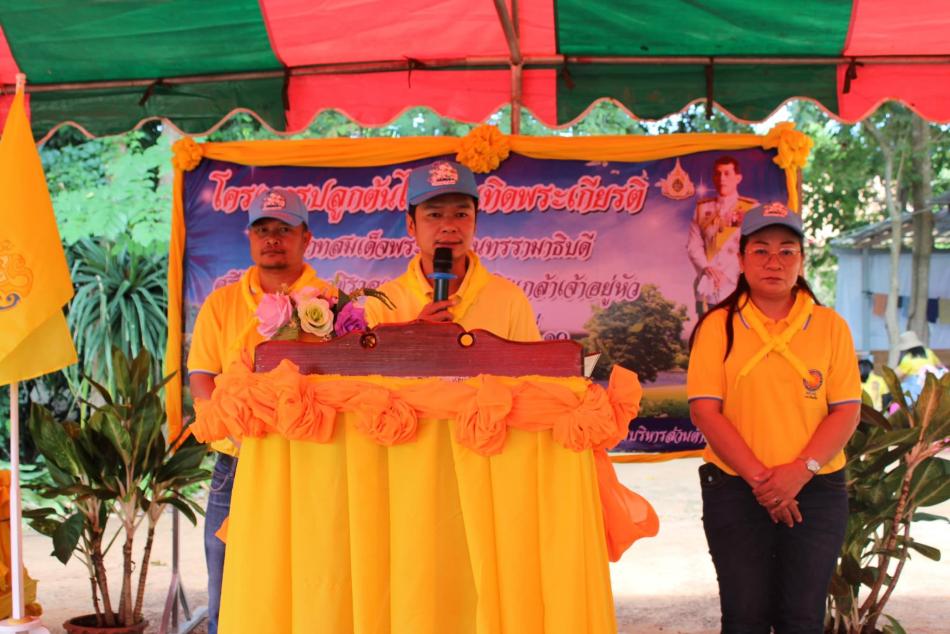 โครงการปลูกต้นไม้เทิดพระเกียติ